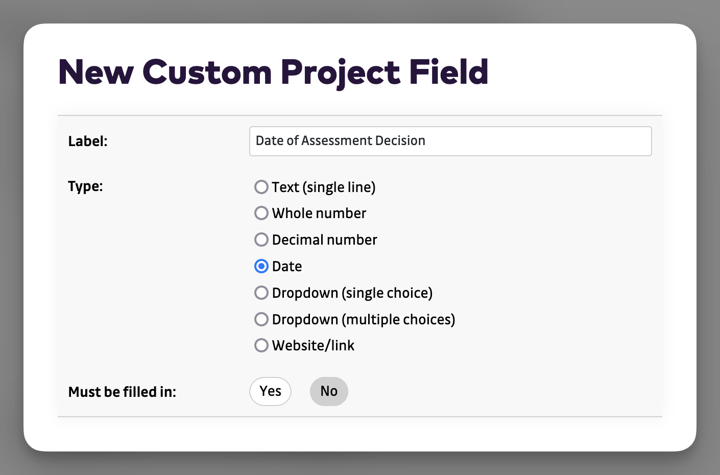 Settings - New Custom Project Field